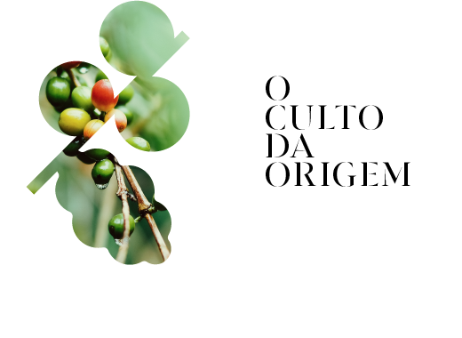 O Culto da Origem