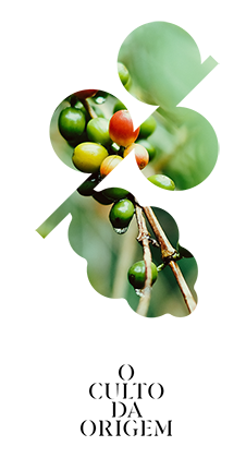 O Culto da Origem